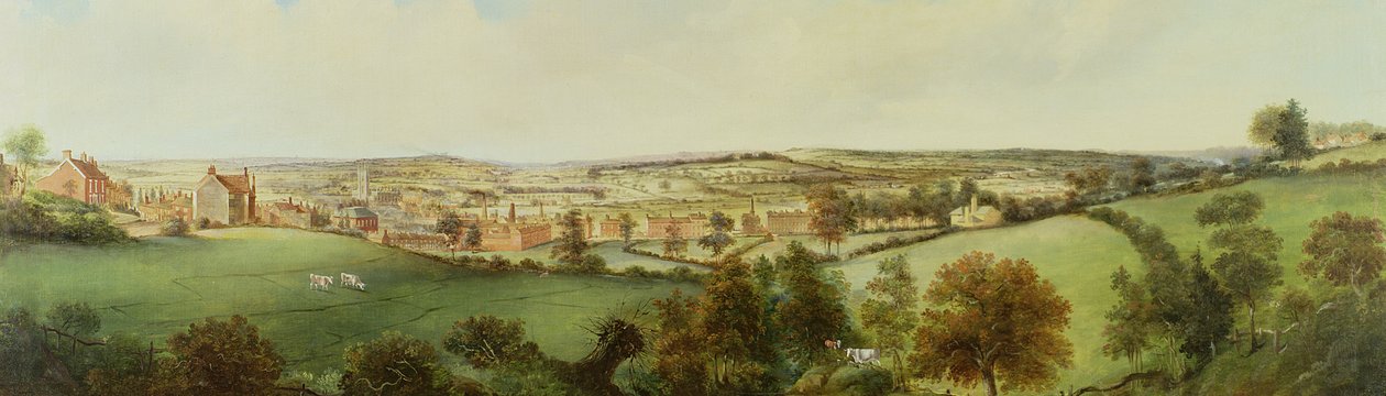 Vista Panorámica de Stoke on Trent de Henry Lark Pratt