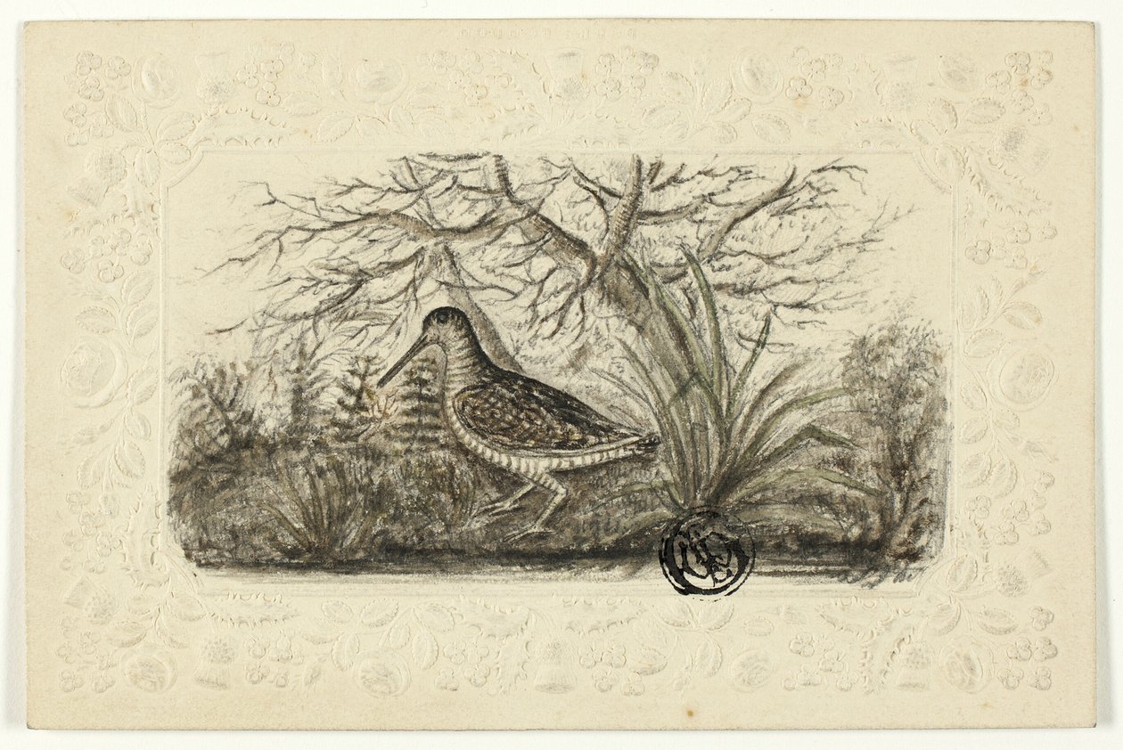 Urogallo de Henry Lejeune