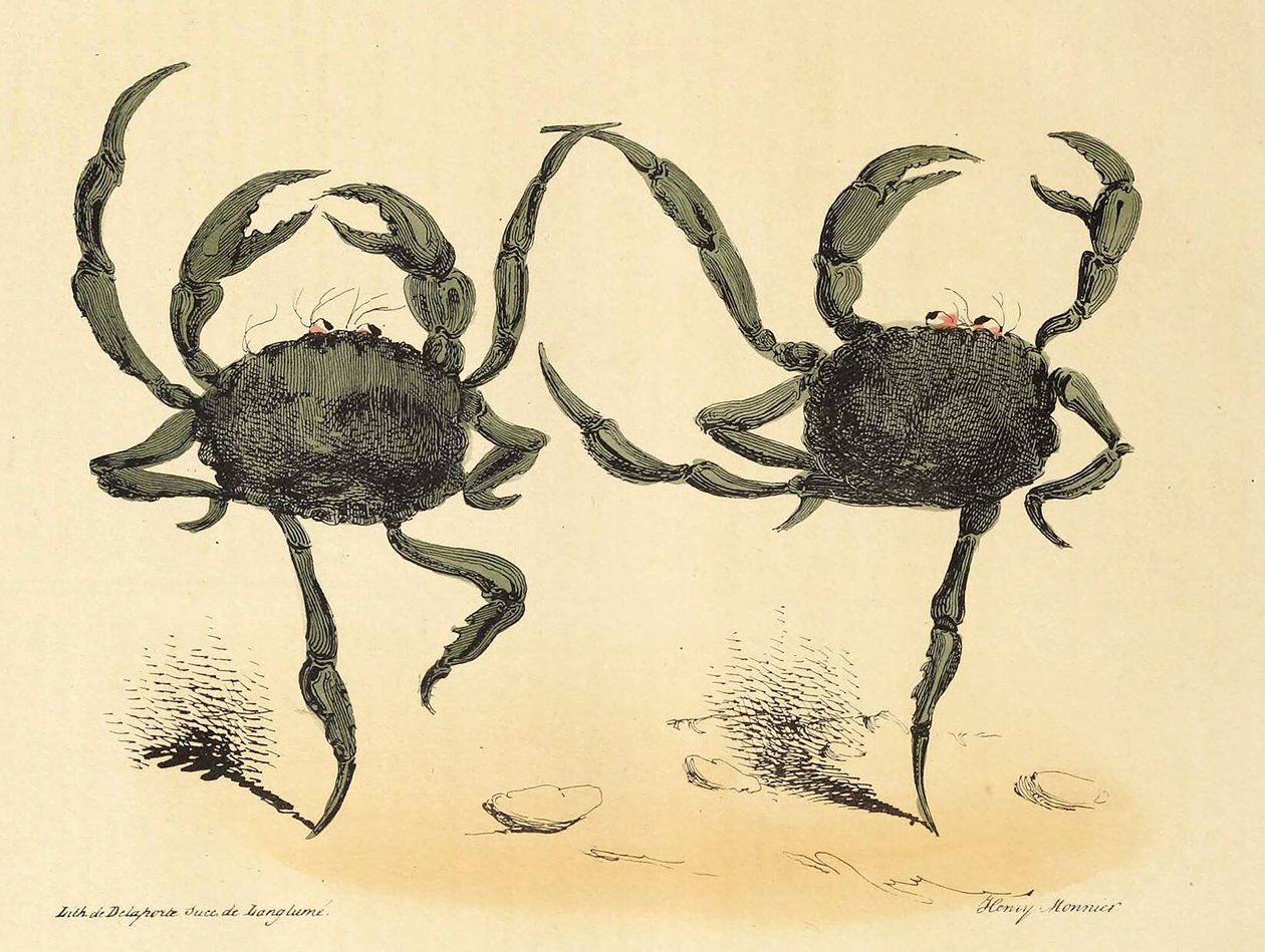 Danse Fantastique de La Caricature, pub. 1831 litografía, 1831 de Henry Monnier