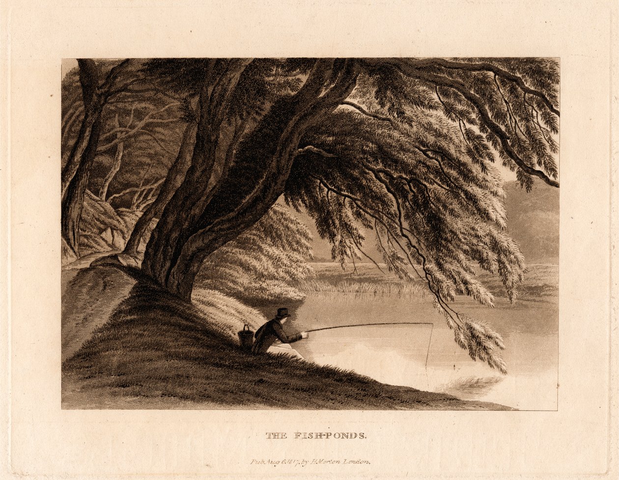 Los estanques piscícolas de Henry Morton