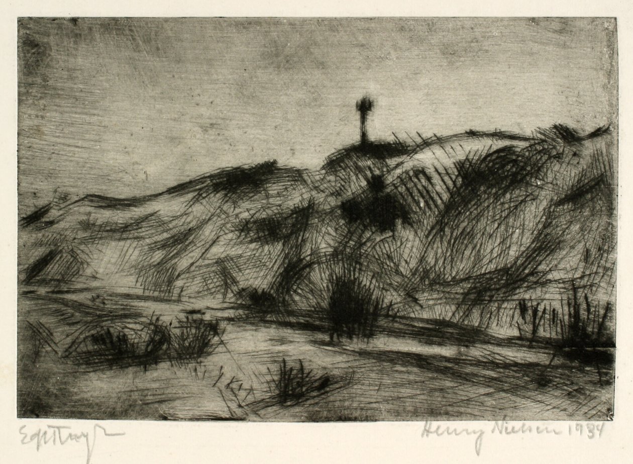 Paisaje de dunas con marca de navegación de Henry Nielsen