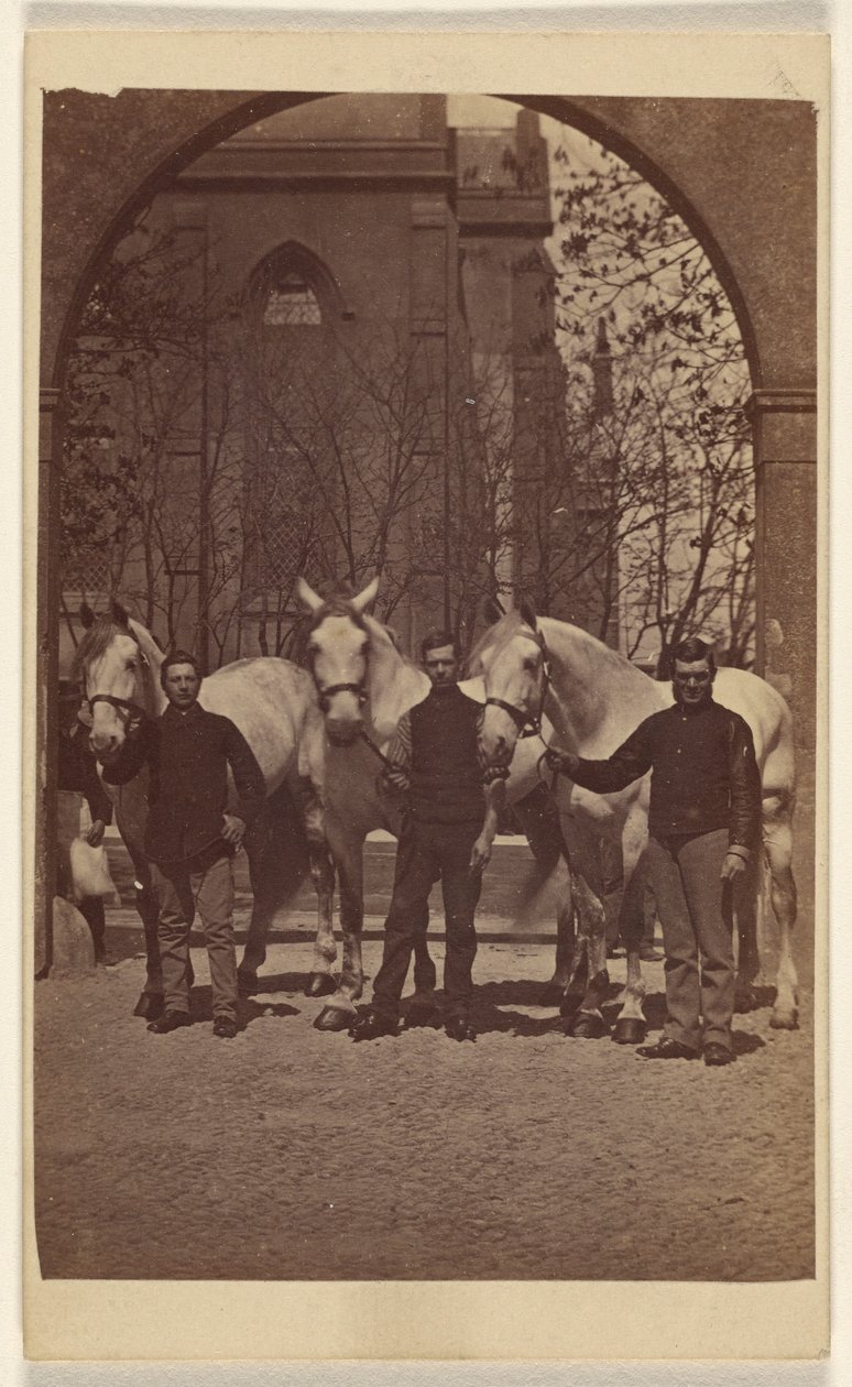 [Tres hombres posando con tres caballos blancos] de Henry Pointer