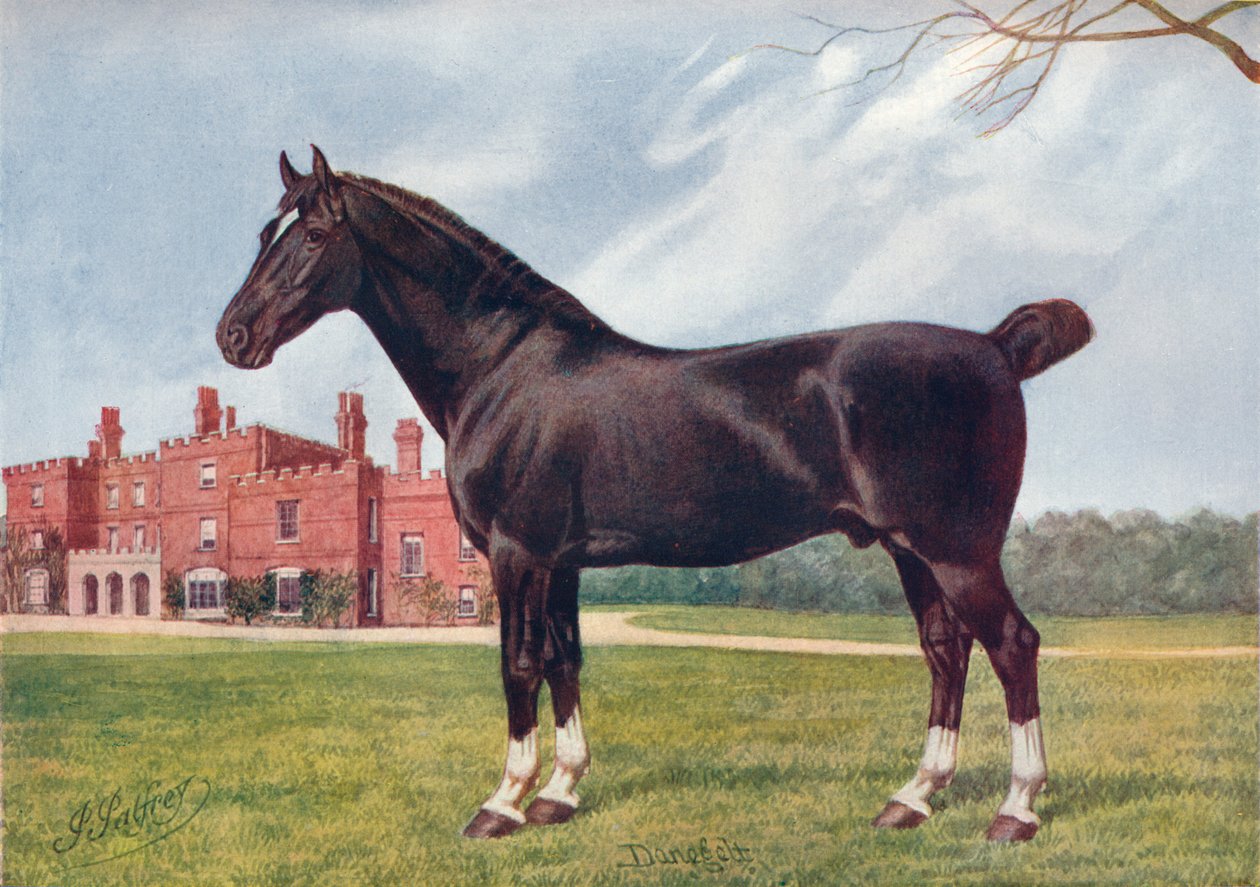 Semental Hackney Danegelt, c. 1905-1910 de Henry Powell Palfrey
