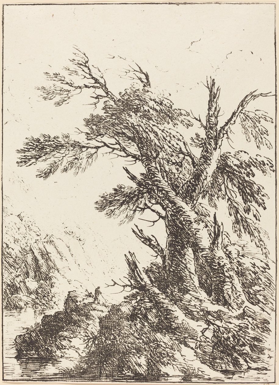 Paisaje con árboles viejos junto al agua de Henry Richard Greville, 3rd earl of Warwick