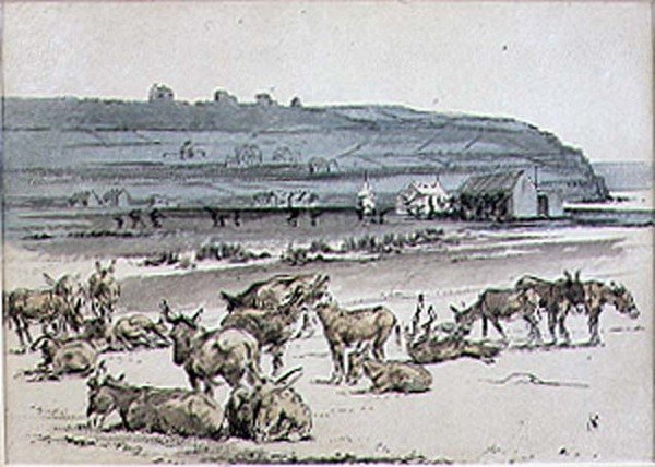 Burros en el Campo de Golf, ilustración de la revista 