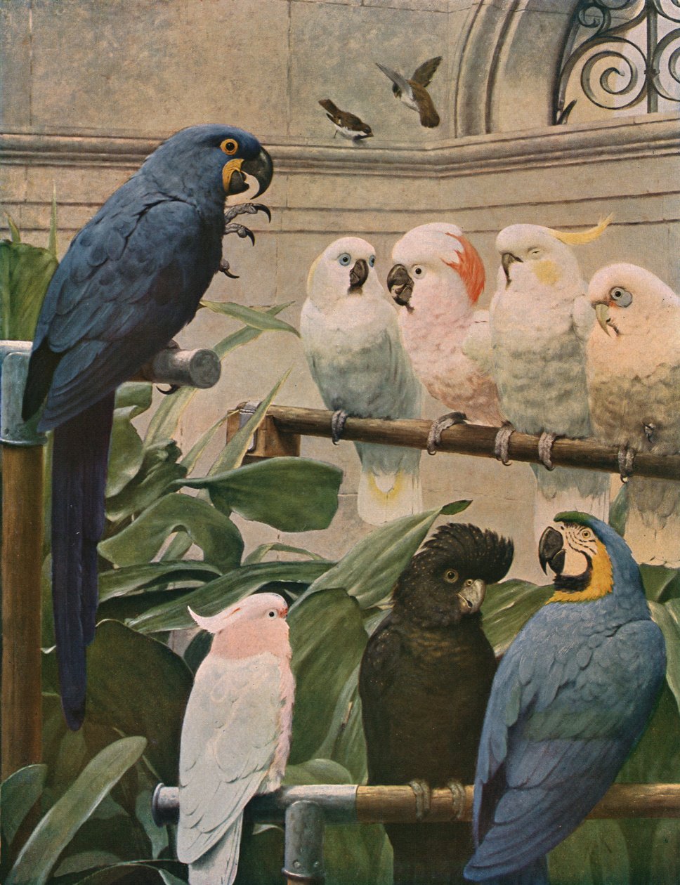 Un Comité Selecto, 1891, c. 1930 de Henry Stacey Marks