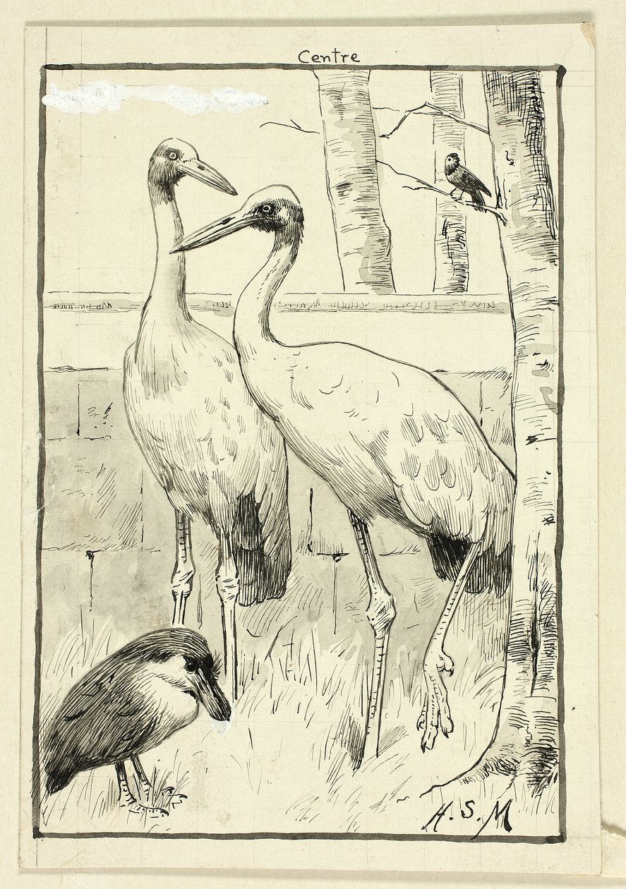Cuatro pájaros en un paisaje de Henry Stacy Marks