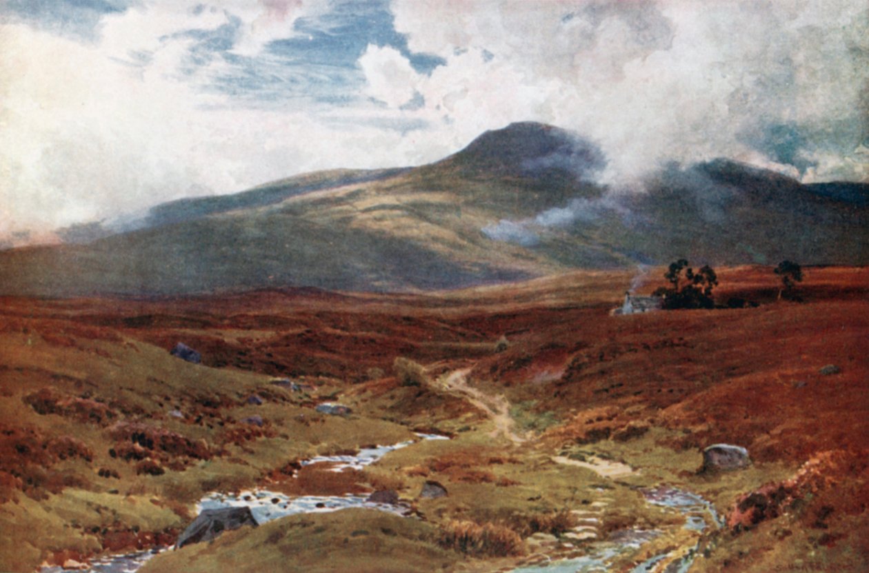 Un páramo cerca de Killin, Perthshire (litografía en color) de Henry Sutton Palmer