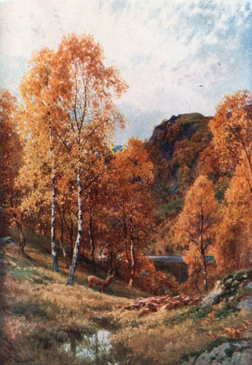 Otoño dorado, Trossachs, Perthshire (litografía en color) de Henry Sutton Palmer