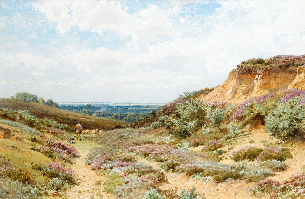 Brezo en un páramo de Surrey de Henry Sutton Palmer
