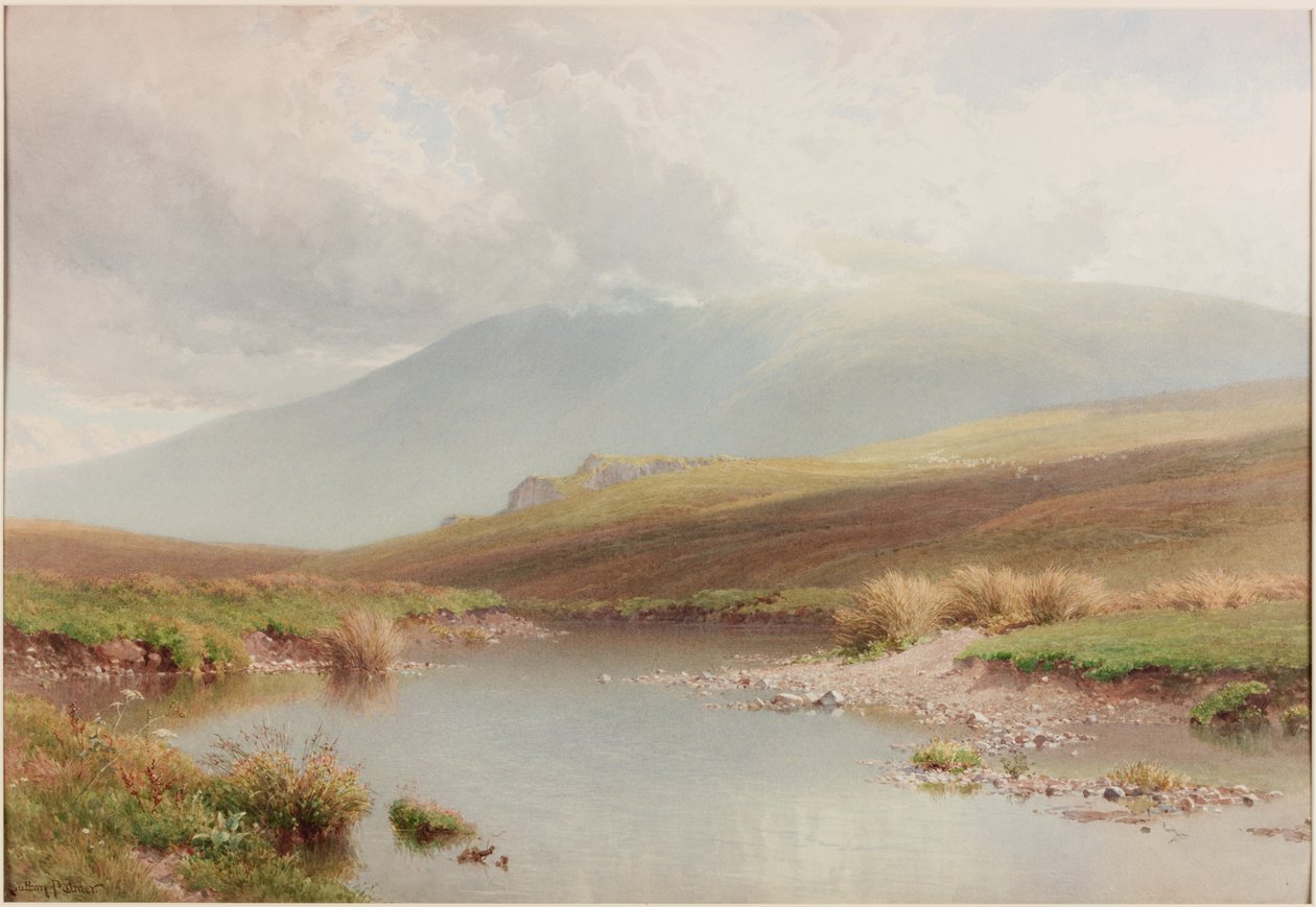 Paisaje montañoso, finales del siglo XIX de Henry Sutton Palmer
