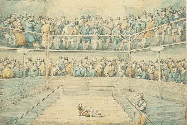 Pelea de perros en el Westminster Pitt de Henry Thomas Alken