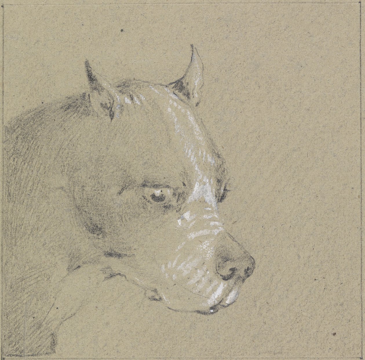 Cabeza y hombros de un perro bóxer de Henry Thomas Alken