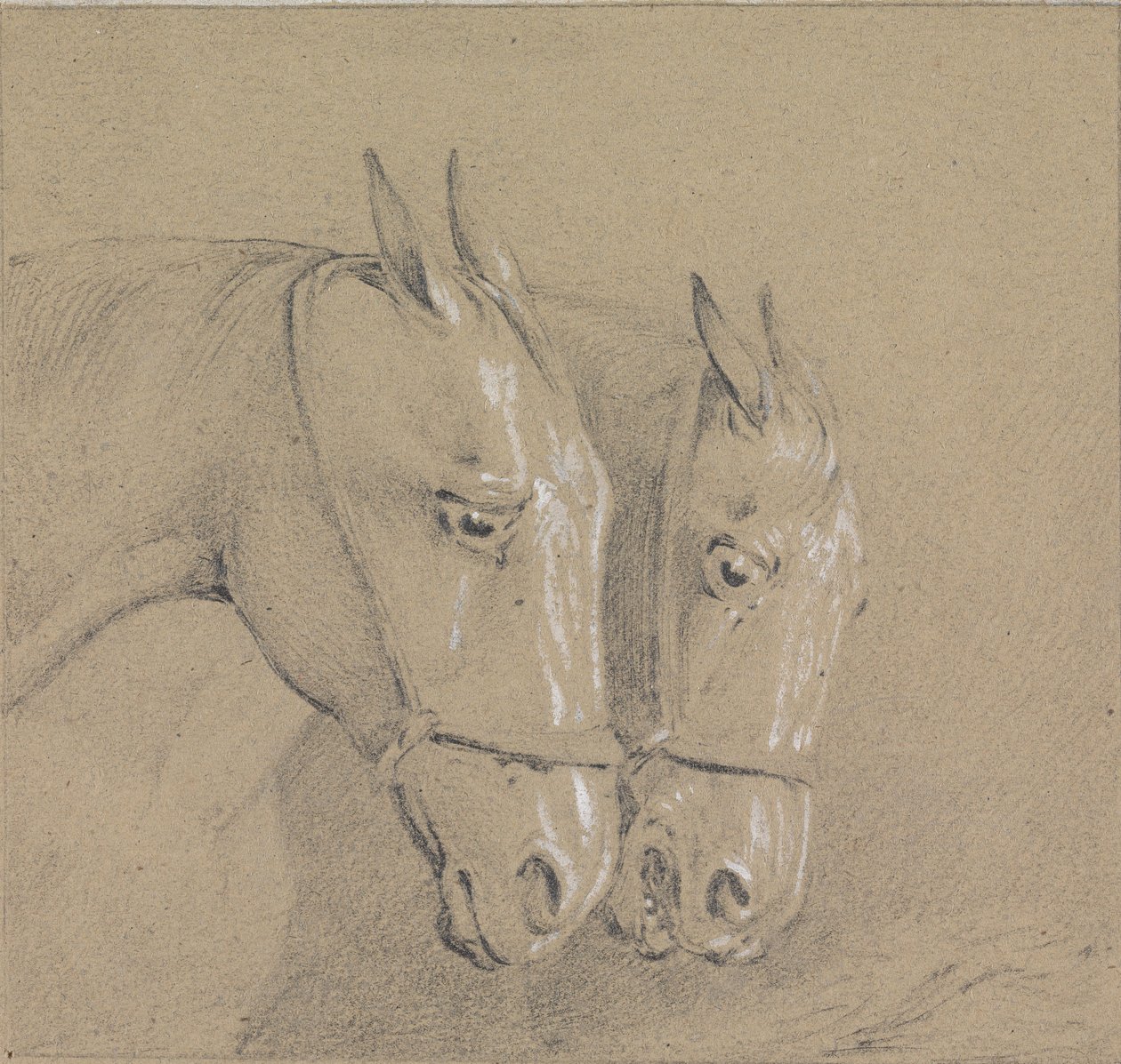 Cabezas y cuellos de dos caballos con bridas, perfiles derechos de Henry Thomas Alken