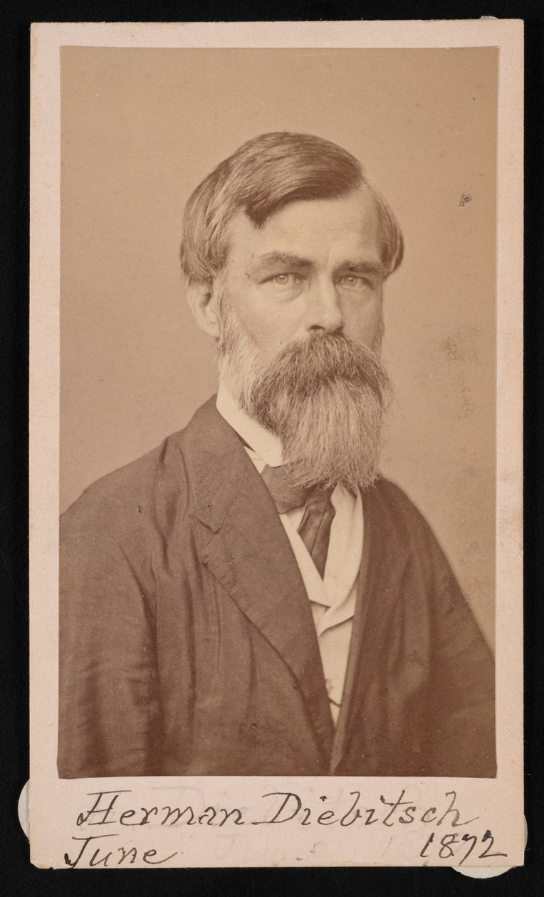 Retrato de Herman Henry Diebitsch 1818-1883, 1871 de Henry Ulke