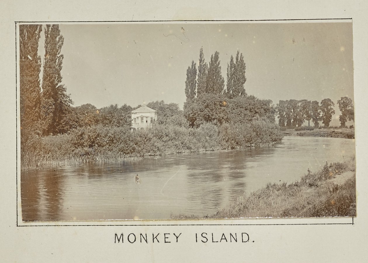 La isla de los monos de Henry W. Taunt