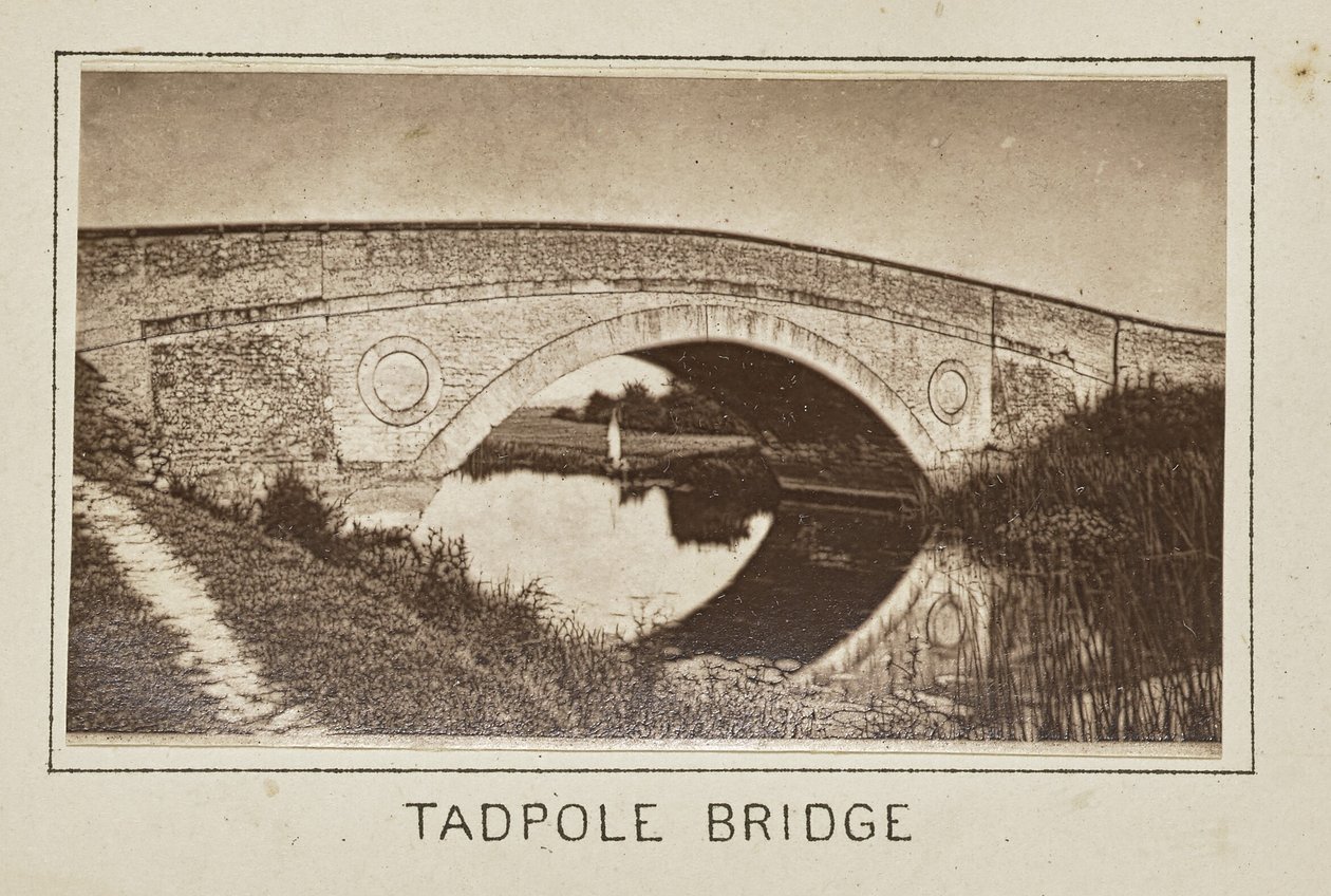 Puente de los Renacuajos de Henry W. Taunt