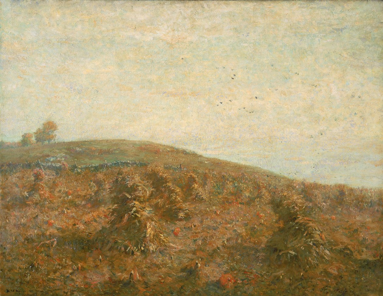 El campo de maíz de Henry Ward Ranger