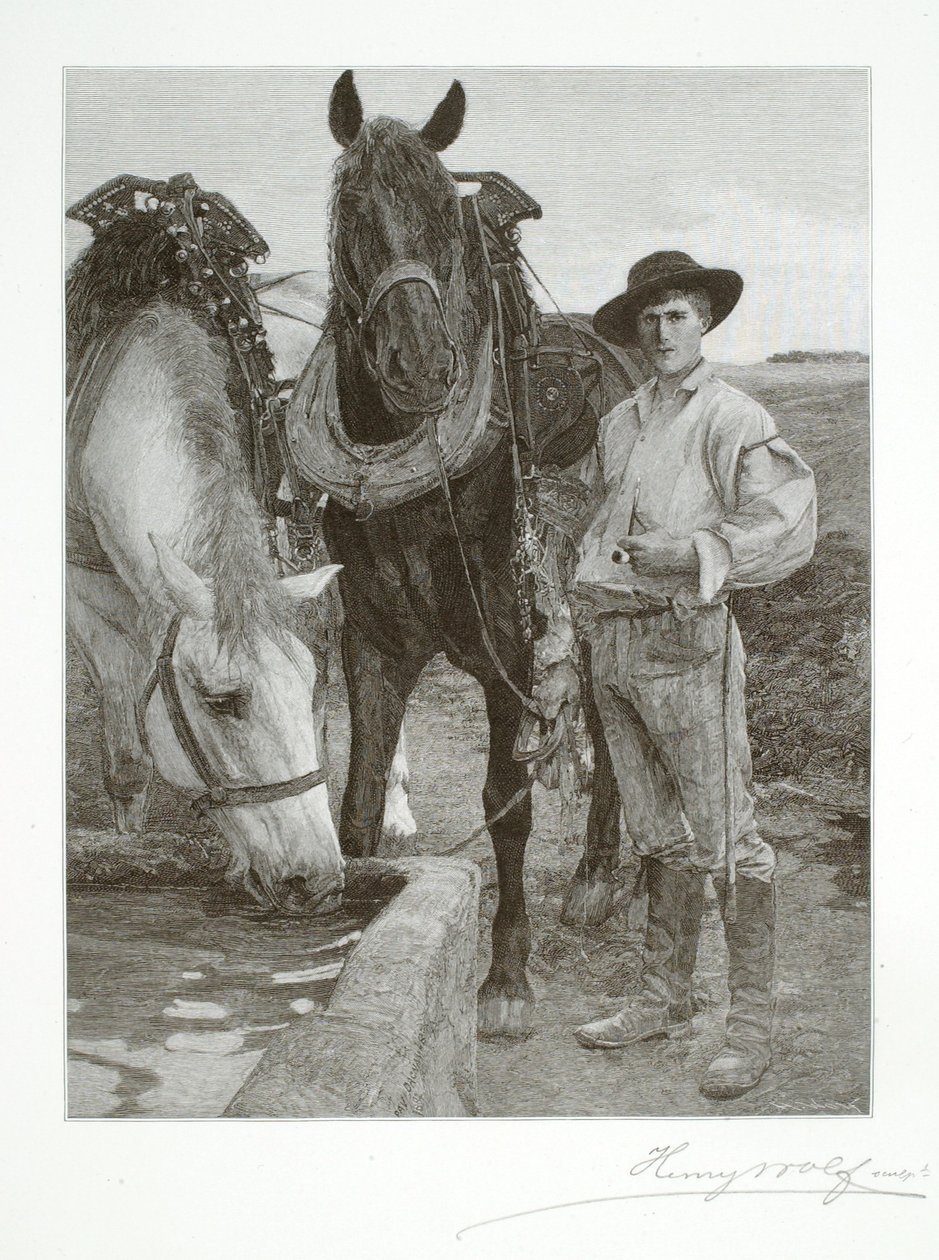 Caballos en el abrevadero de Henry Wolf