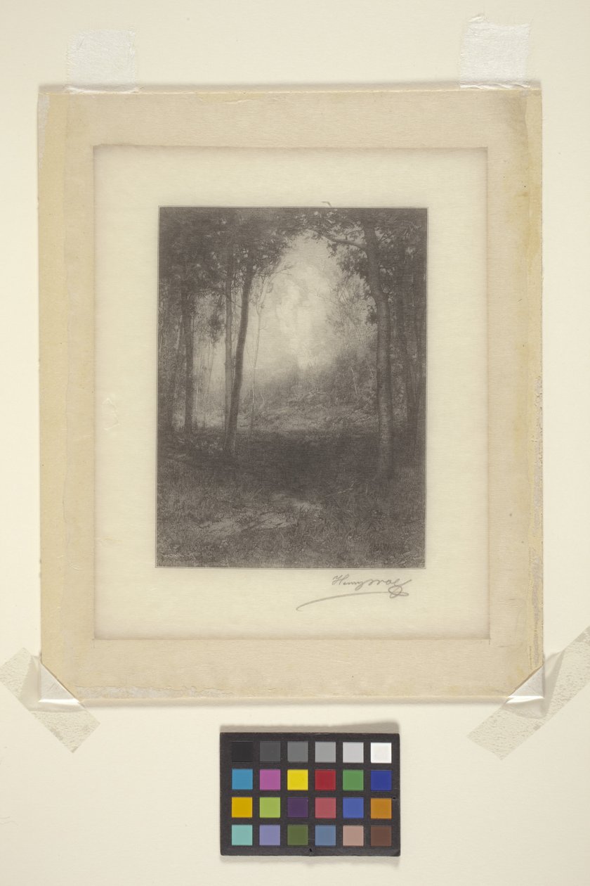 En los Adirondacks (tinta) de Henry Wolf
