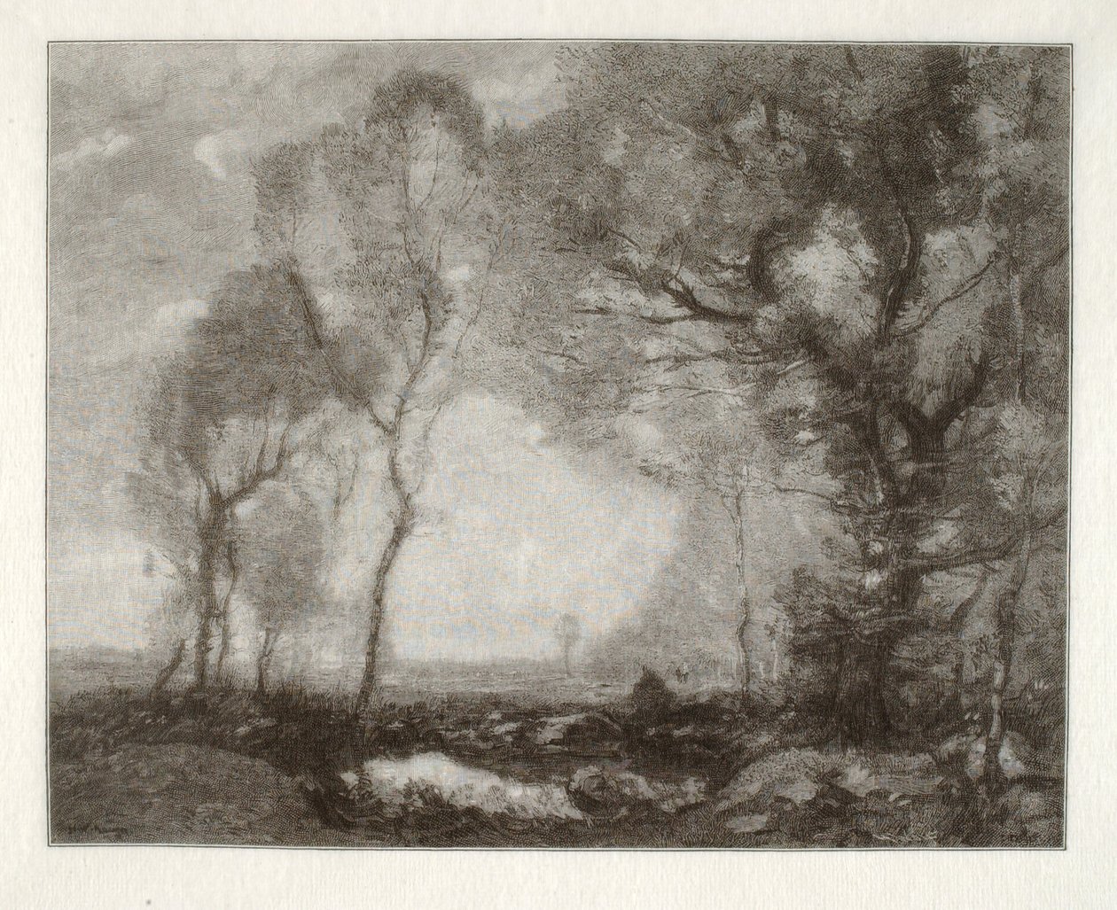 Paisaje de Henry Wolf