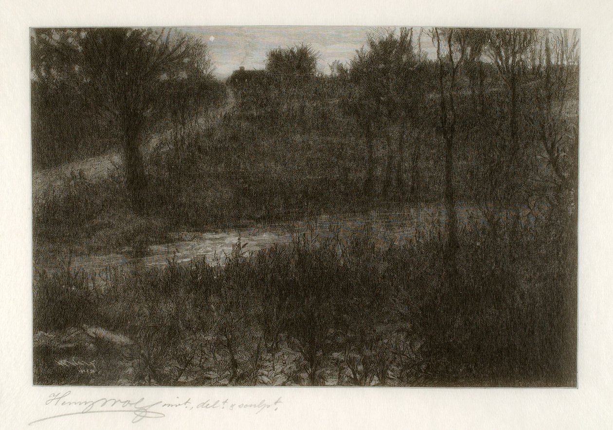 La estrella vespertina (motivo encontrado en las Catskills) de Henry Wolf