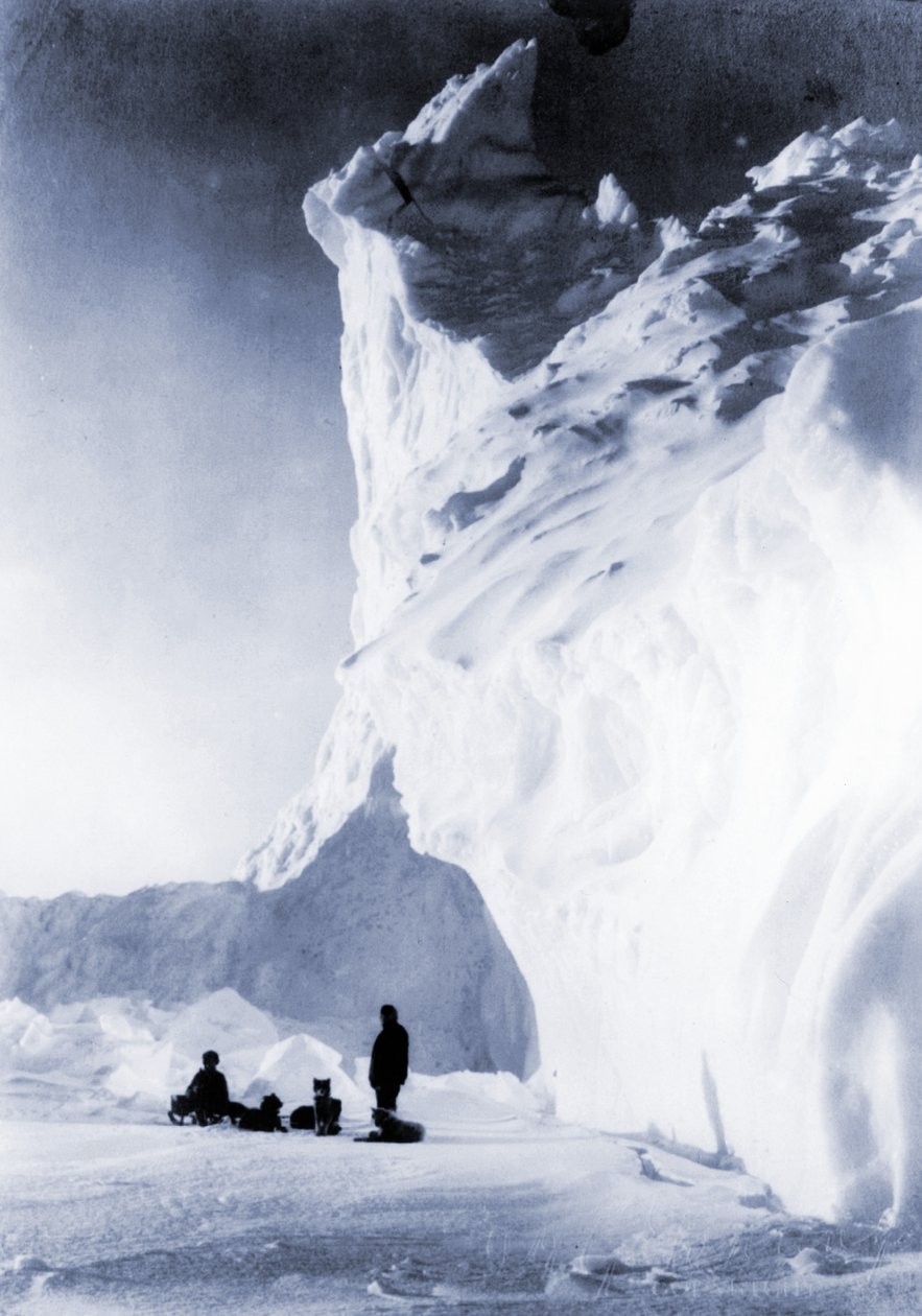 Equipo de perros descansando durante la Expedición Terra Nova, 1910 de Herbert Ponting