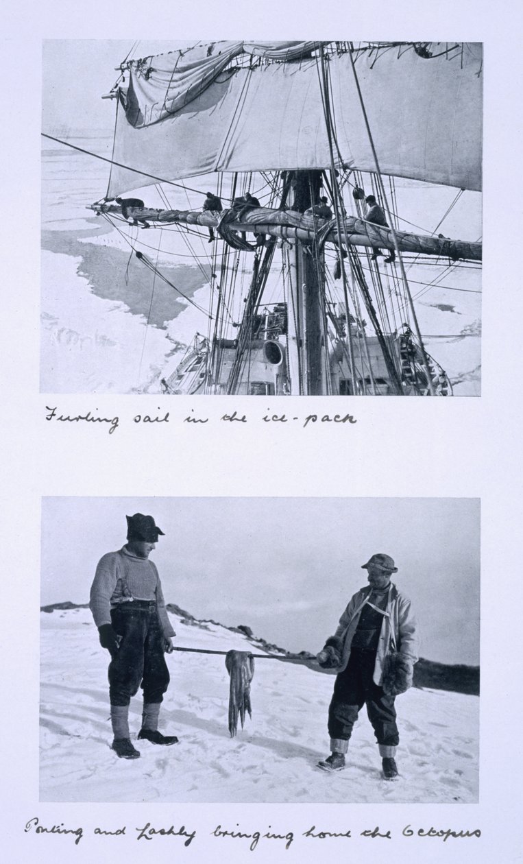 Arriba: Arriando la vela del 