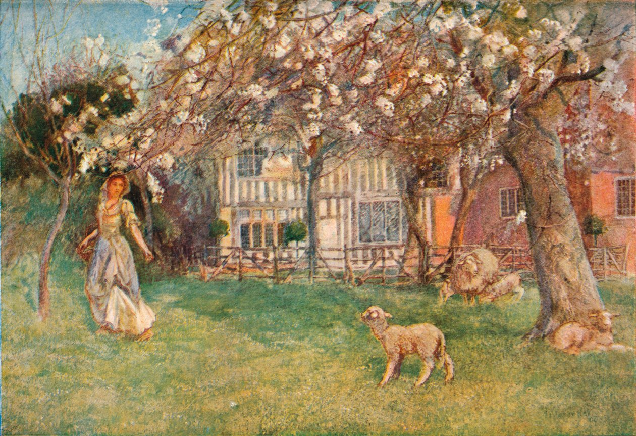Corderos, c1904 de Herbert Alexander Collins