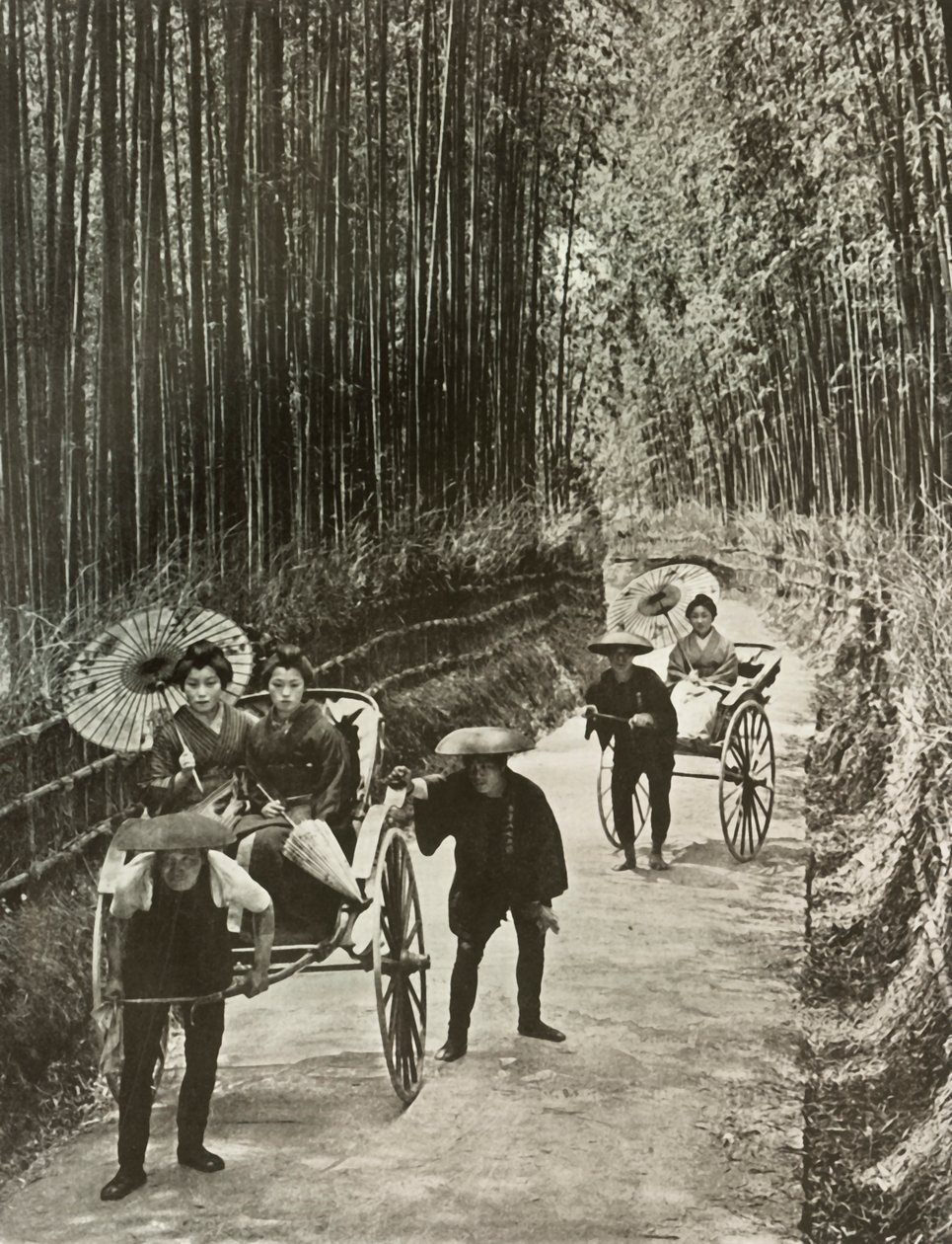 Una avenida de bambú en Kioto, 1910 de Herbert Ponting