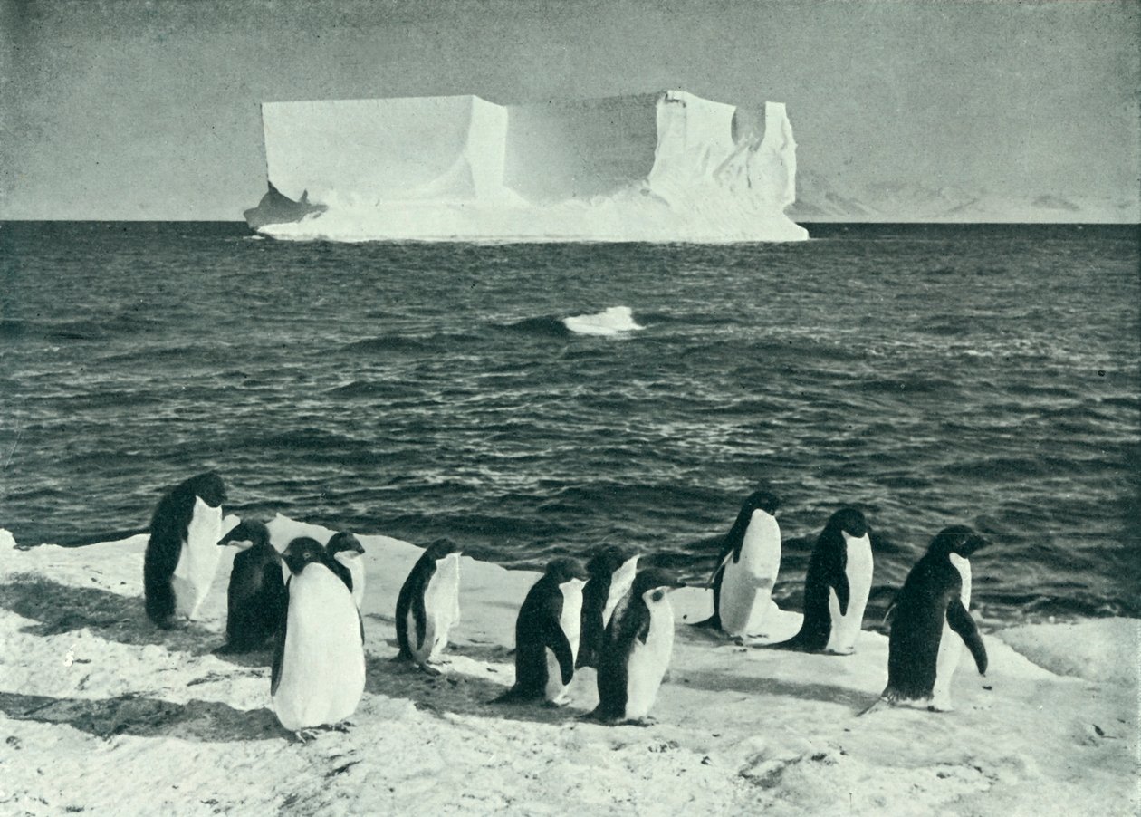 Un iceberg a la deriva en el sonido de McMurdo, c. 1910-1913, 1913 de Herbert Ponting