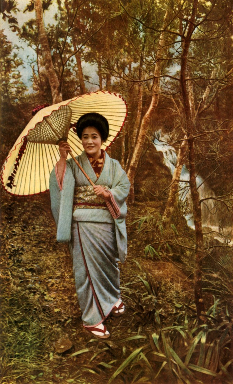 Una Lluvia en el Bosque, 1910 de Herbert Ponting
