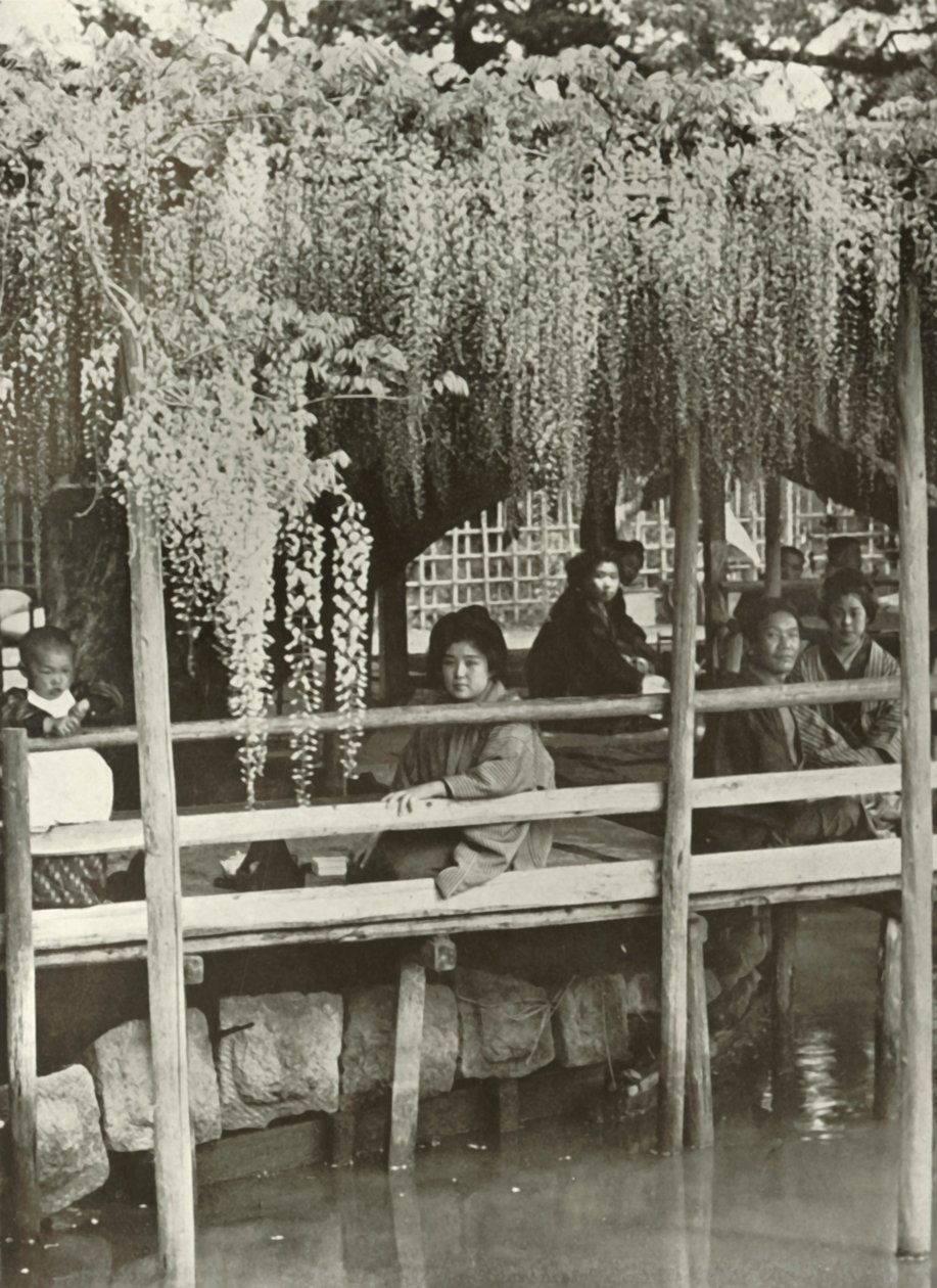 Una pérgola de glicinas en Kameido, 1910 de Herbert Ponting