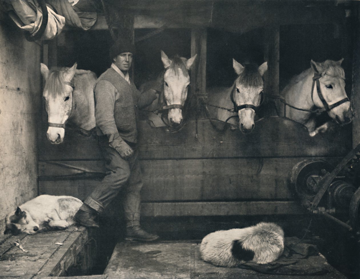 Capitán Oates, en el Terra Nova con los ponis siberianos, c1911, 1914 de Herbert Ponting