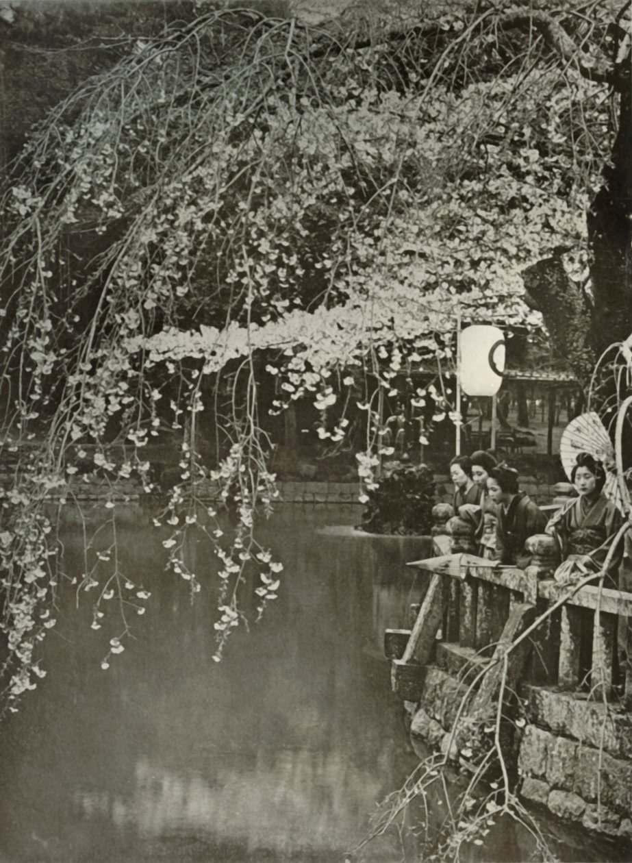 Tiempo de flor de cerezo en Japón, 1910 de Herbert Ponting
