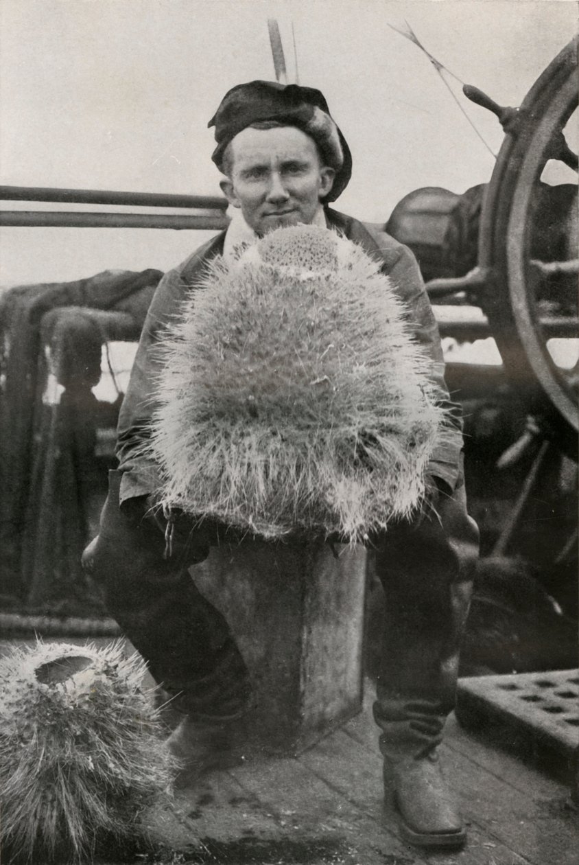 D. G. Lillie, con algunas de las esponjas silíceas, c1911, 1913 de Herbert Ponting