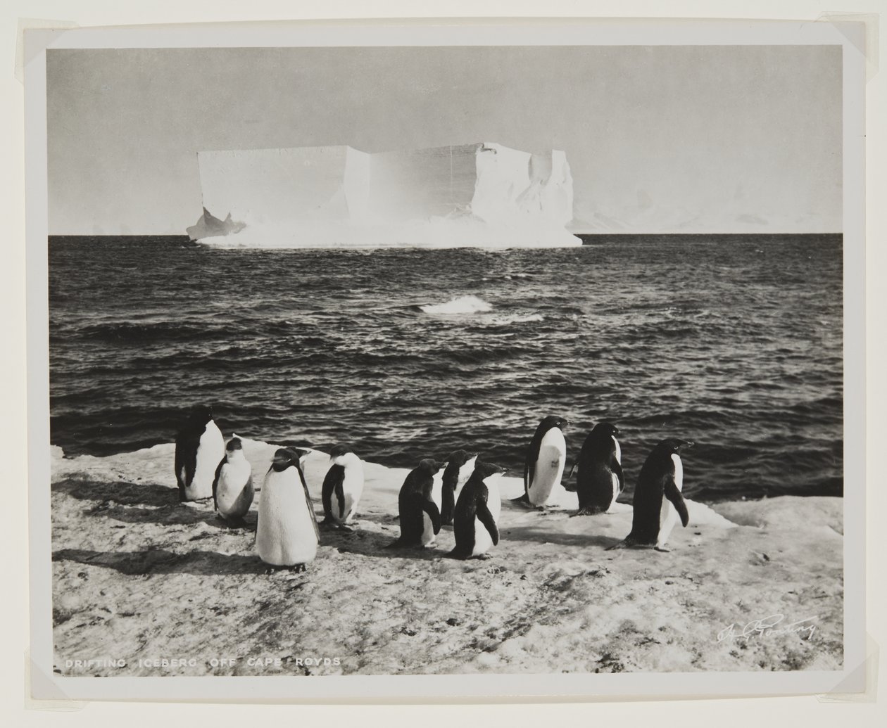 Iceberg a la deriva frente al cabo Royds de Herbert Ponting