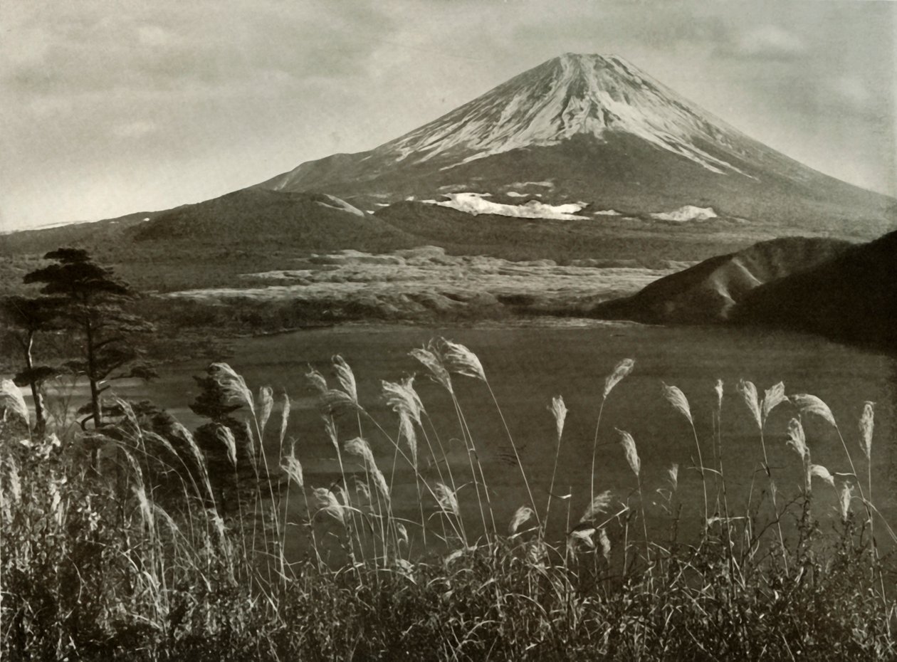 Fuji y la hierba Kaia, 1910 de Herbert Ponting
