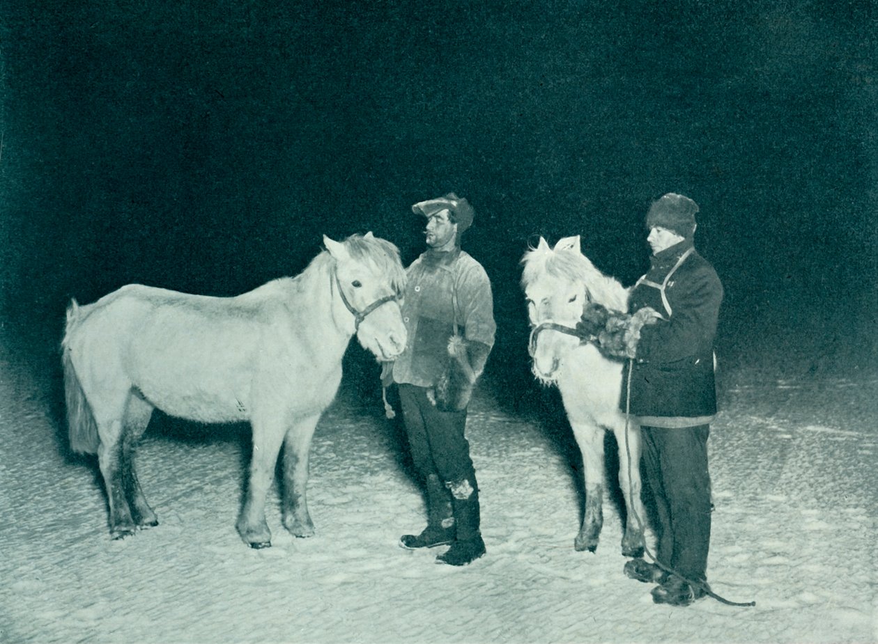 Oficiales subalternos Crean y Evans ejercitando sus ponis en invierno de Herbert Ponting