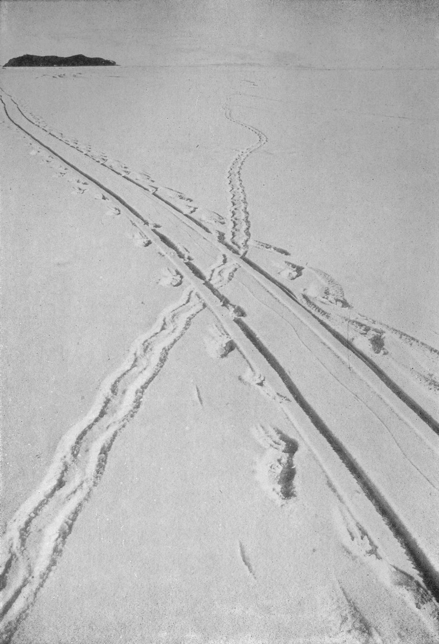 Cruce de pista de trineo con pista de pingüinos Adelia, 8 de diciembre de 1911, 1913 de Herbert Ponting