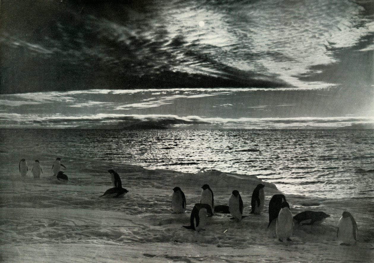 El Sol de Medianoche en el Sonido de McMurdo, c. 1910-1913, 1913 de Herbert Ponting