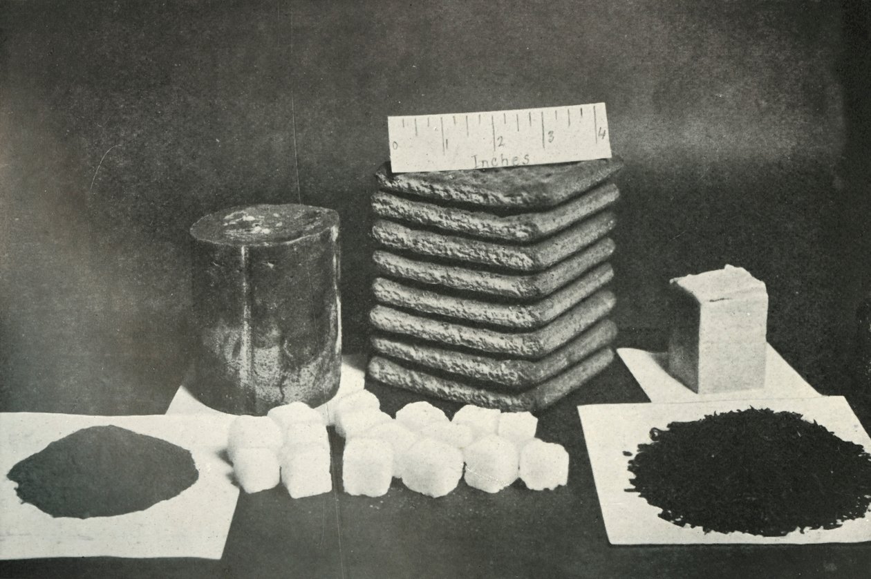 Ración de trineo del Partido Polar: pemmican, galletas, mantequilla, cacao, azúcar y té, 1911, 1913 de Herbert Ponting