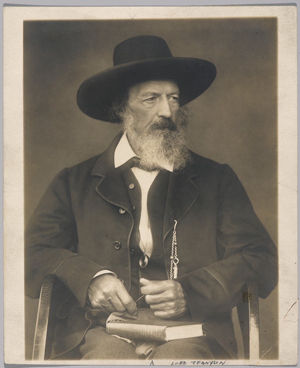 Lord Tennyson de Herbert Rose Barraud