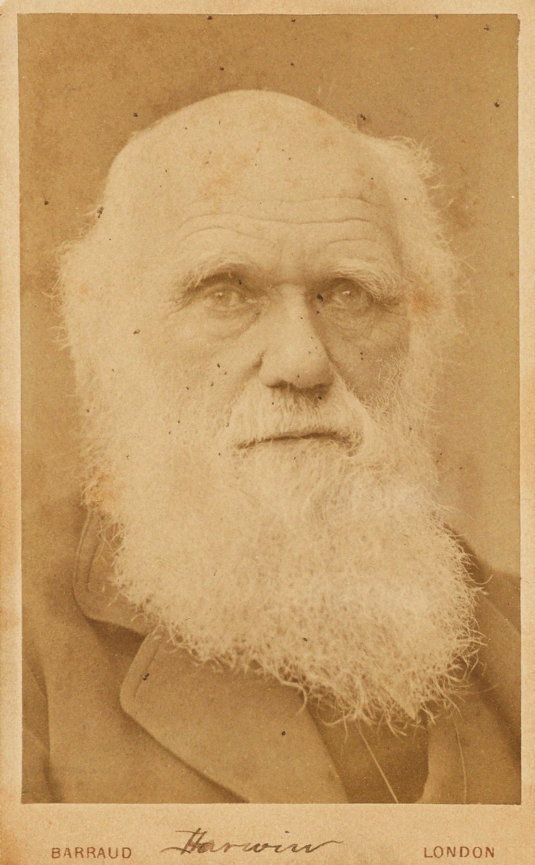 Retrato de Charles Darwin 1809-1882, 1881 de Herbert Rose Barraud