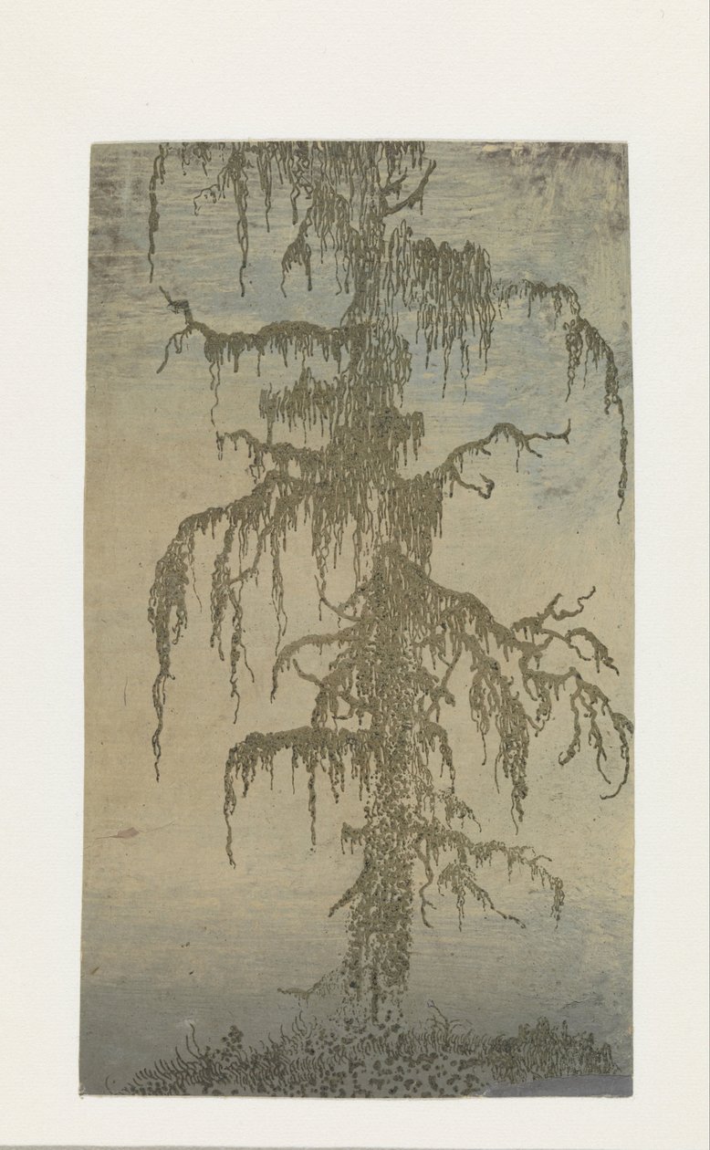 el árbol cubierto de musgo de Hercules Segers
