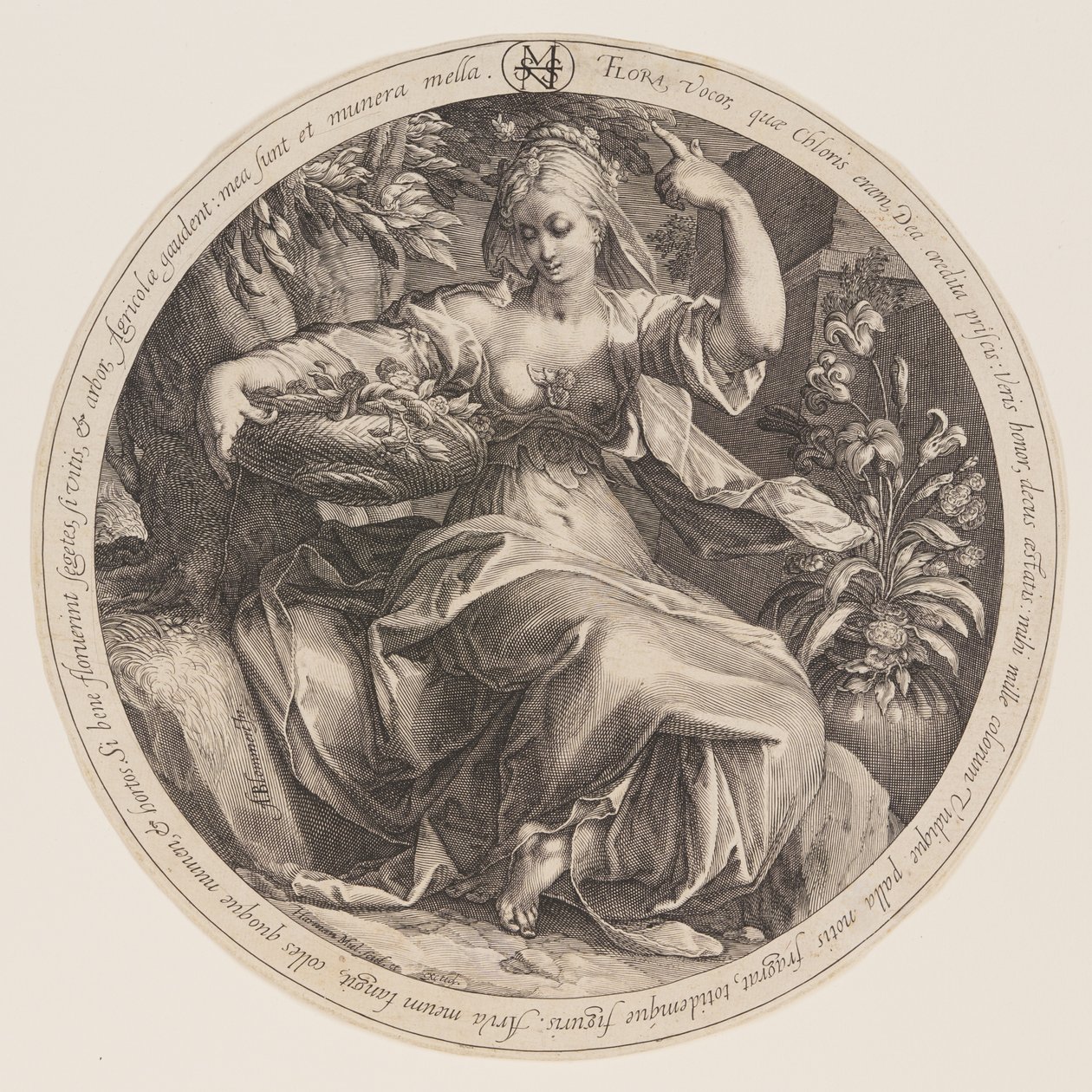 Flora de Herman Jansz. Muller
