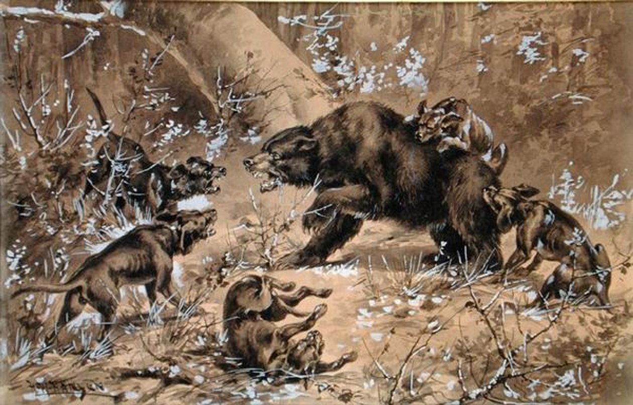 Caza de osos de Herman Wendleborg Hansen