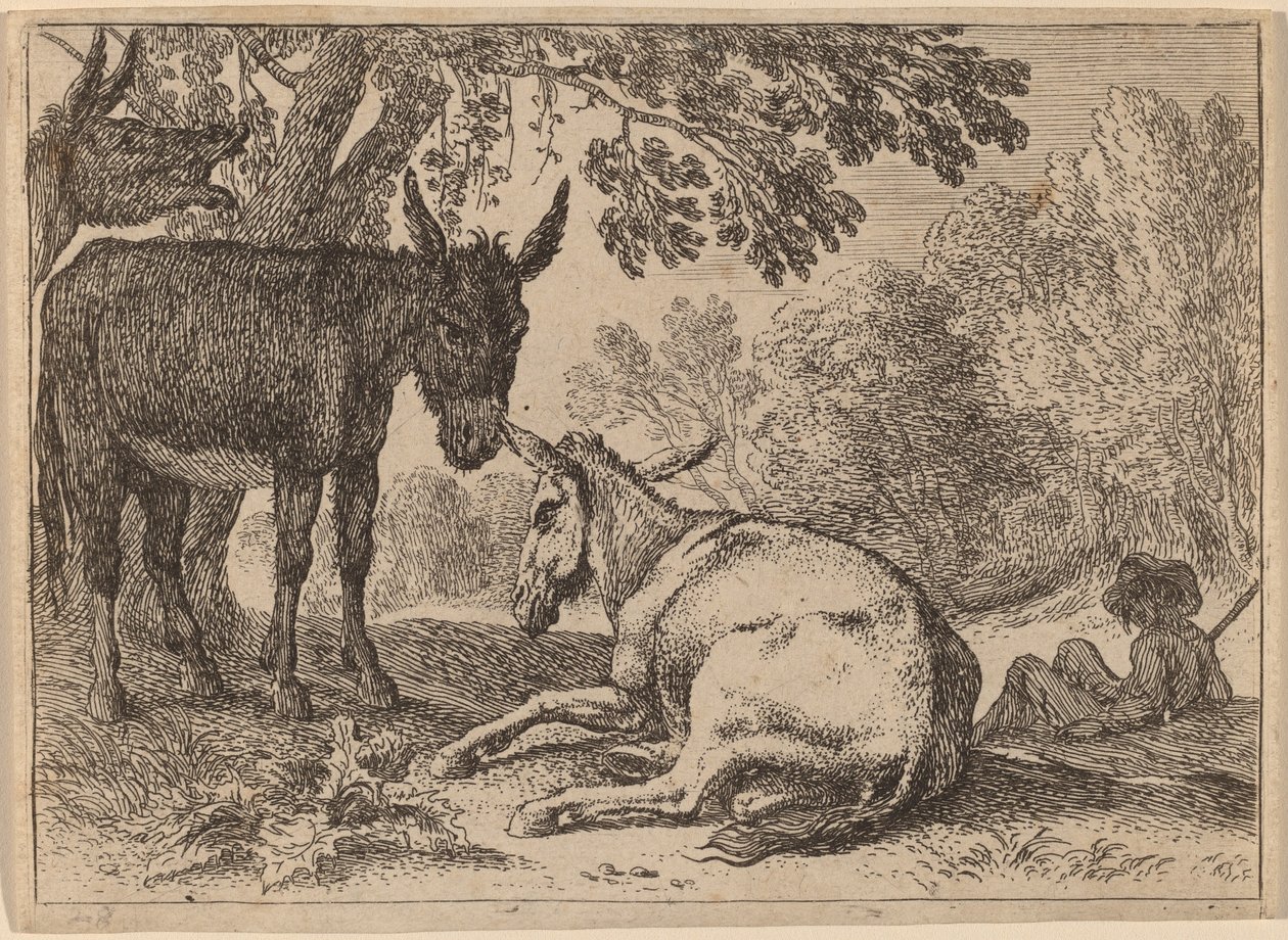 Burros de Herman van Swanevelt