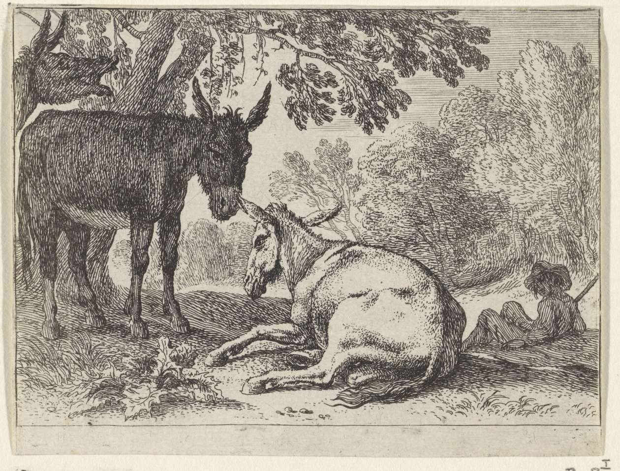 burros Paisajes con animales (título de serie) de Herman van Swanevelt