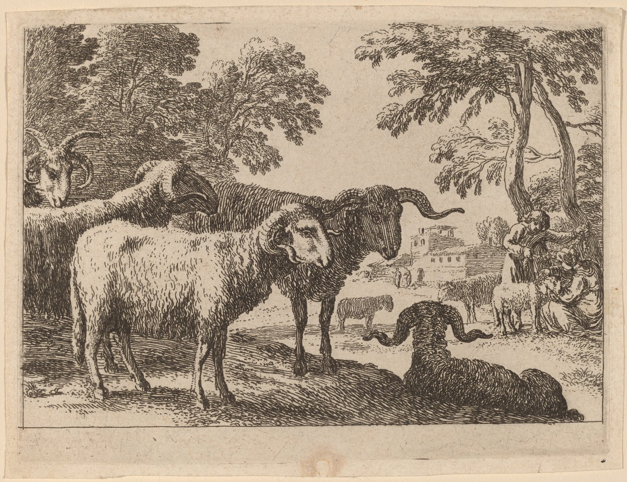 Carneros de Herman van Swanevelt